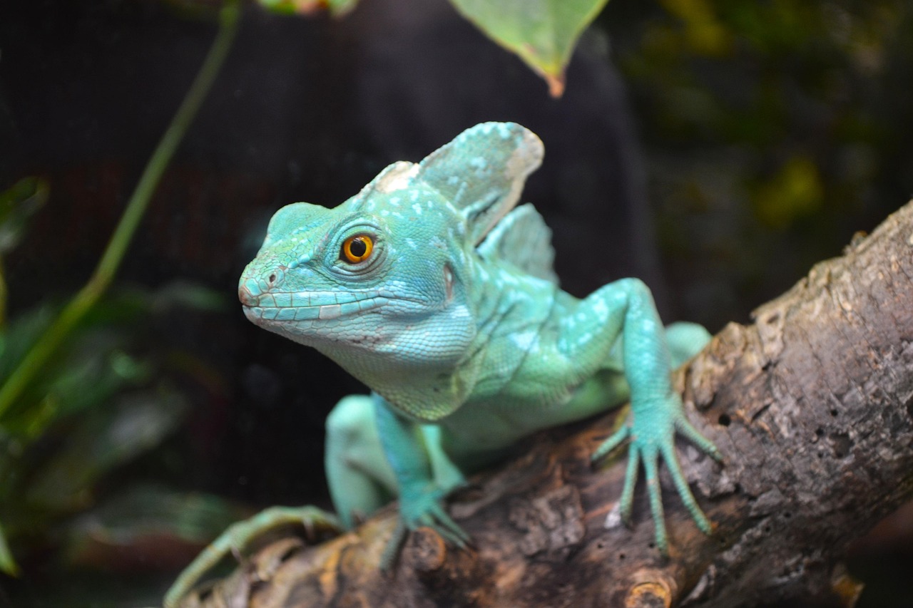 Les bienfaits des ingrédients naturels pour une peau éclatante et saine